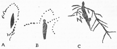 Fig 1.