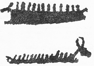 Fig 2.